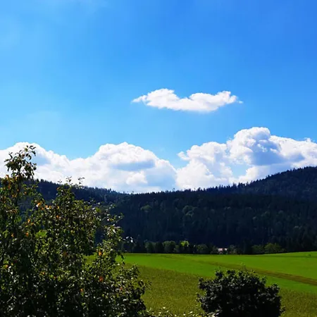 Pensjonat Haus Leutner 3*